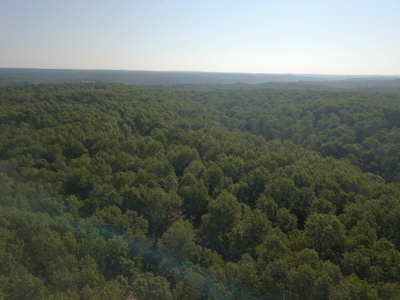 85 +/- acre property nestled on CR 4270 in Salem, MO! - image 8