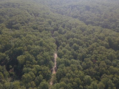 85 +/- acre property nestled on CR 4270 in Salem, MO! - image 3