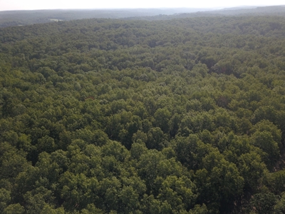 85 +/- acre property nestled on CR 4270 in Salem, MO! - image 12