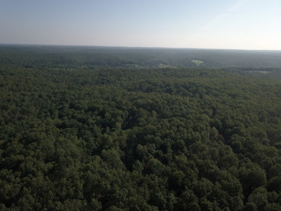 85 +/- acre property nestled on CR 4270 in Salem, MO! - image 4