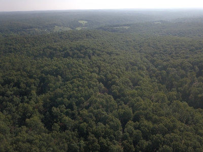 85 +/- acre property nestled on CR 4270 in Salem, MO! - image 10