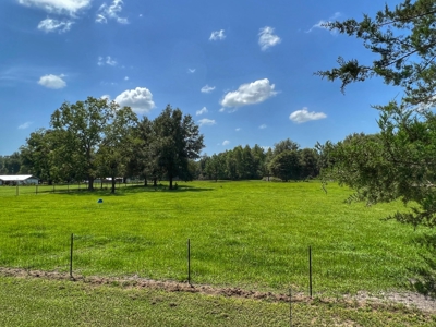 Country Home For Sale In Archer, Fl! - image 19