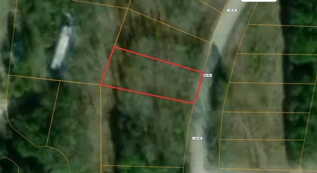 Land for Sale in Taney County, Missouri - image 2