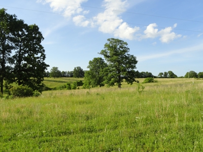 120 Acres And Two Home For Sale Camden County, Mo - image 22