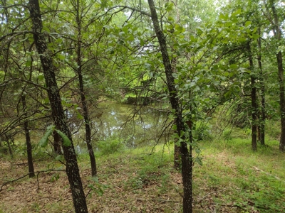 120 Acres And Two Home For Sale Camden County, Mo - image 5