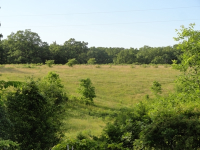 120 Acres And Two Home For Sale Camden County, Mo - image 20