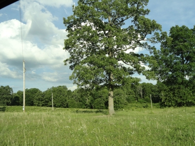 120 Acres And Two Home For Sale Camden County, Mo - image 26