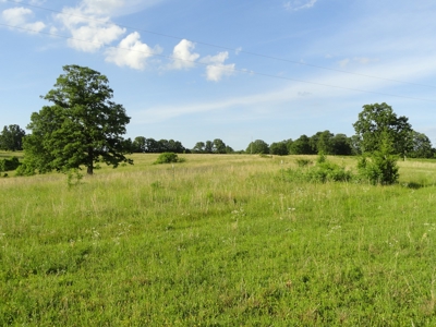 120 Acres And Two Home For Sale Camden County, Mo - image 23