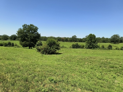 120 Acres And Two Home For Sale Camden County, Mo - image 1