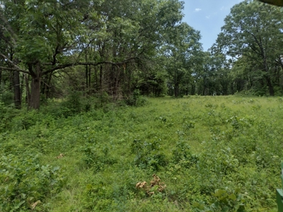 120 Acres And Two Home For Sale Camden County, Mo - image 4
