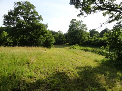 120 Acres And Two Home For Sale Camden County, Mo - image 9