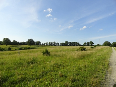 120 Acres And Two Home For Sale Camden County, Mo - image 11