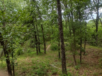 120 Acres And Two Home For Sale Camden County, Mo - image 3