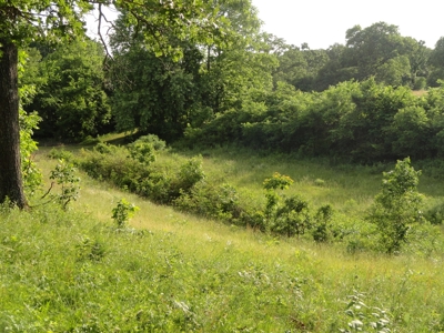 120 Acres And Two Home For Sale Camden County, Mo - image 8