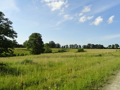 120 Acres And Two Home For Sale Camden County, Mo - image 25
