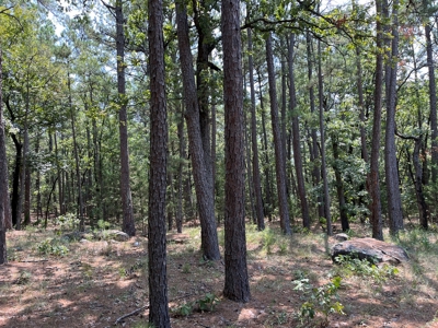 Home on Acreage For Sale in Moyers, Oklahoma! - image 11