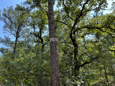 Home on Acreage For Sale in Moyers, Oklahoma! - image 1