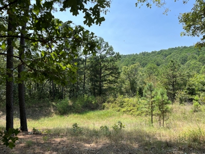 Home on Acreage For Sale in Moyers, Oklahoma! - image 9