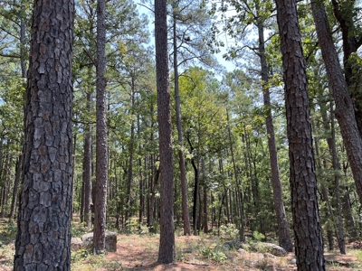 Home on Acreage For Sale in Moyers, Oklahoma! - image 12