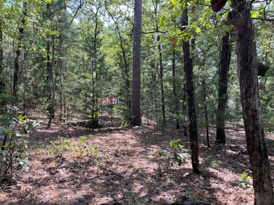 Home on Acreage For Sale in Moyers, Oklahoma! - image 44