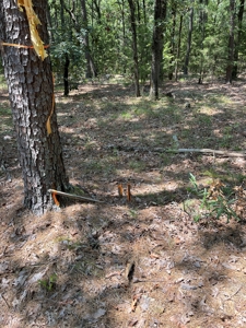 Home on Acreage For Sale in Moyers, Oklahoma! - image 40