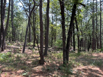 Home on Acreage For Sale in Moyers, Oklahoma! - image 37