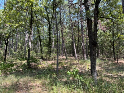 Home on Acreage For Sale in Moyers, Oklahoma! - image 36