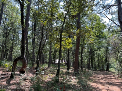 Home on Acreage For Sale in Moyers, Oklahoma! - image 2