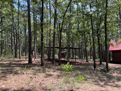 Home on Acreage For Sale in Moyers, Oklahoma! - image 4