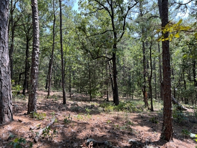 Home on Acreage For Sale in Moyers, Oklahoma! - image 38