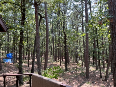 Home on Acreage For Sale in Moyers, Oklahoma! - image 19