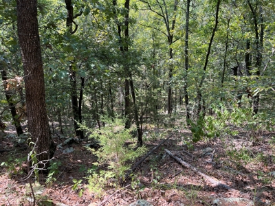 Home on Acreage For Sale in Moyers, Oklahoma! - image 45