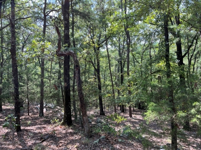 Home on Acreage For Sale in Moyers, Oklahoma! - image 42