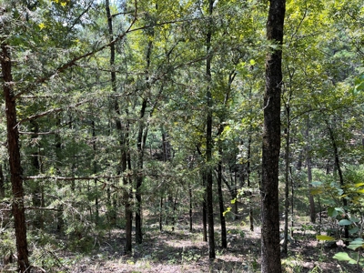 Home on Acreage For Sale in Moyers, Oklahoma! - image 48