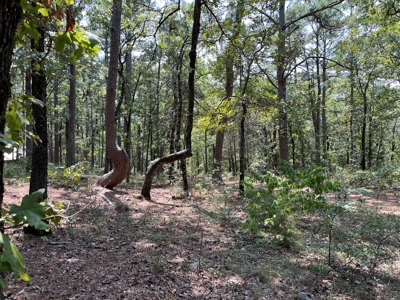 Home on Acreage For Sale in Moyers, Oklahoma! - image 41