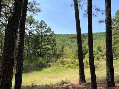 Home on Acreage For Sale in Moyers, Oklahoma! - image 10