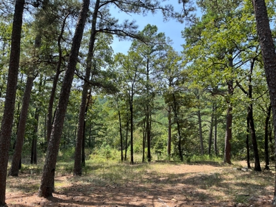 Home on Acreage For Sale in Moyers, Oklahoma! - image 5