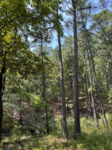 Home on Acreage For Sale in Moyers, Oklahoma! - image 50