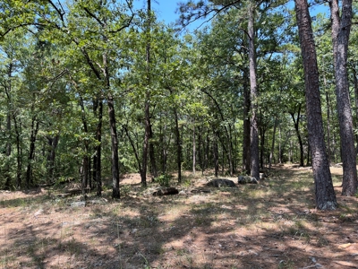 Home on Acreage For Sale in Moyers, Oklahoma! - image 6