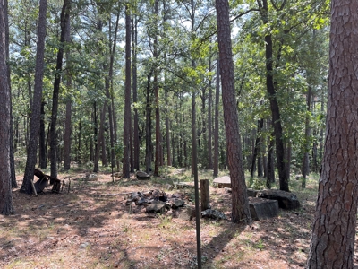 Home on Acreage For Sale in Moyers, Oklahoma! - image 8