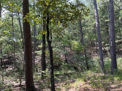 Home on Acreage For Sale in Moyers, Oklahoma! - image 49