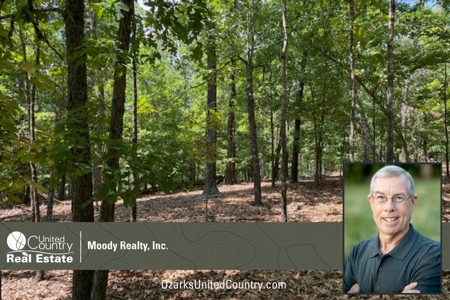 Ozarks Wooded Acreage For Sale Near Salem Ar - image 19
