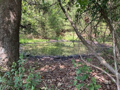 Ozarks Wooded Acreage For Sale Near Salem Ar - image 1