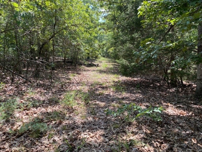 Ozarks Wooded Acreage For Sale Near Salem Ar - image 13