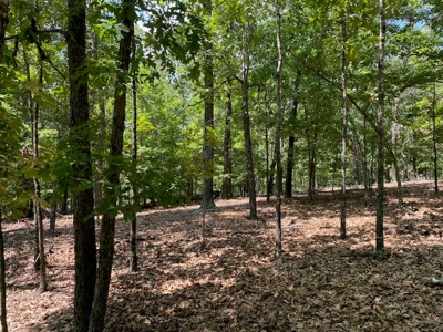 Ozarks Wooded Acreage For Sale Near Salem Ar - image 7