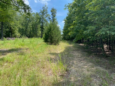 Ozarks Wooded Acreage For Sale Near Salem Ar - image 17