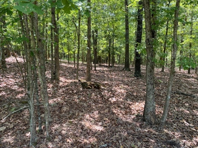 Ozarks Wooded Acreage For Sale Near Salem Ar - image 15