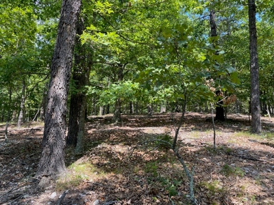 Ozarks Wooded Acreage For Sale Near Salem Ar - image 9