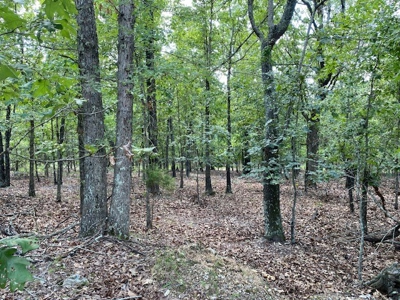 Ozarks Wooded Acreage For Sale Near Salem Ar - image 11