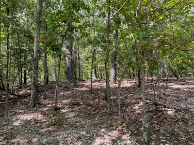 Ozarks Wooded Acreage For Sale Near Salem Ar - image 5